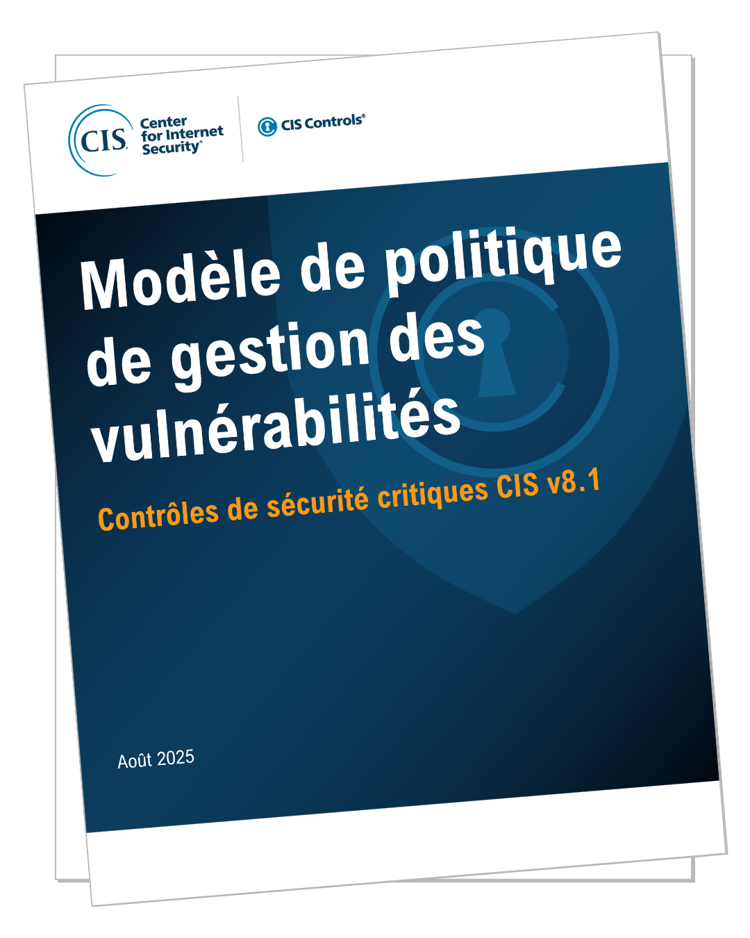Controls v81 - Vulnerability Management