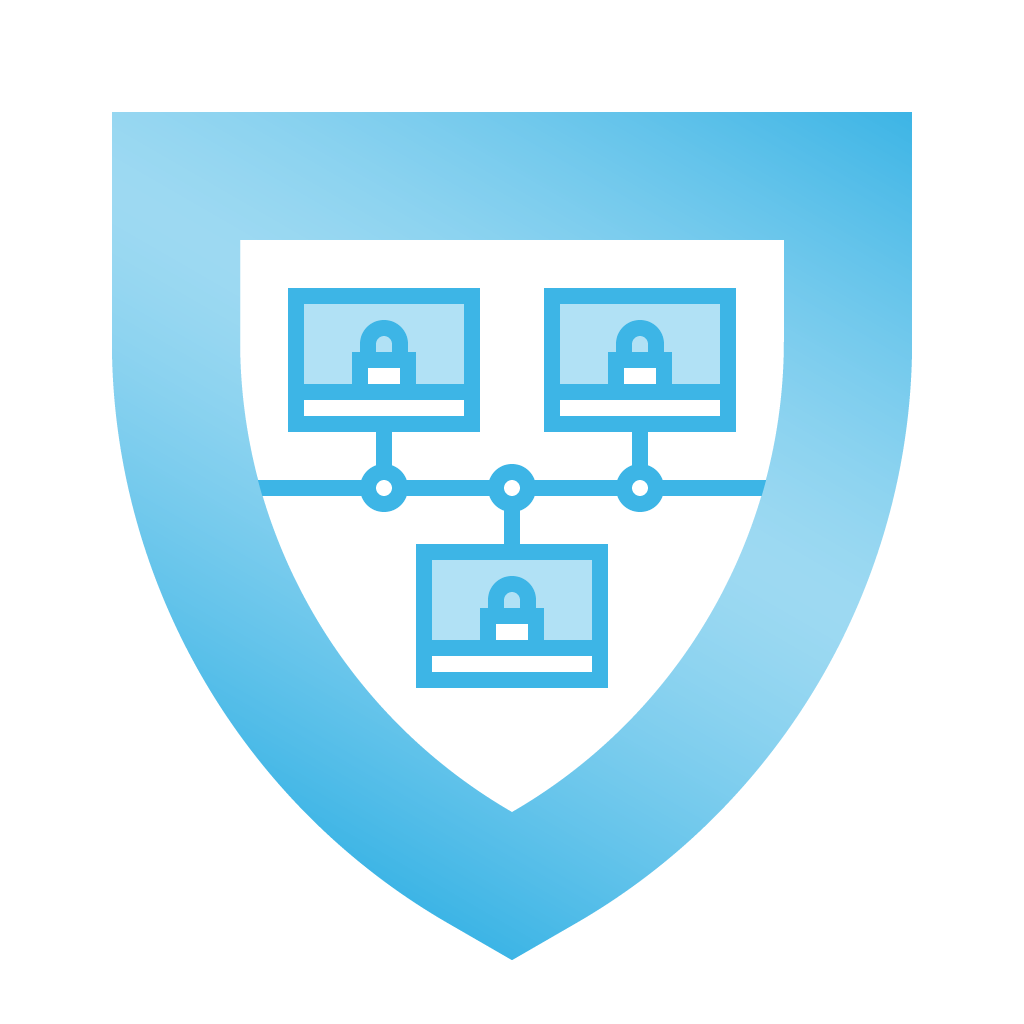 secure-network--L1-icon