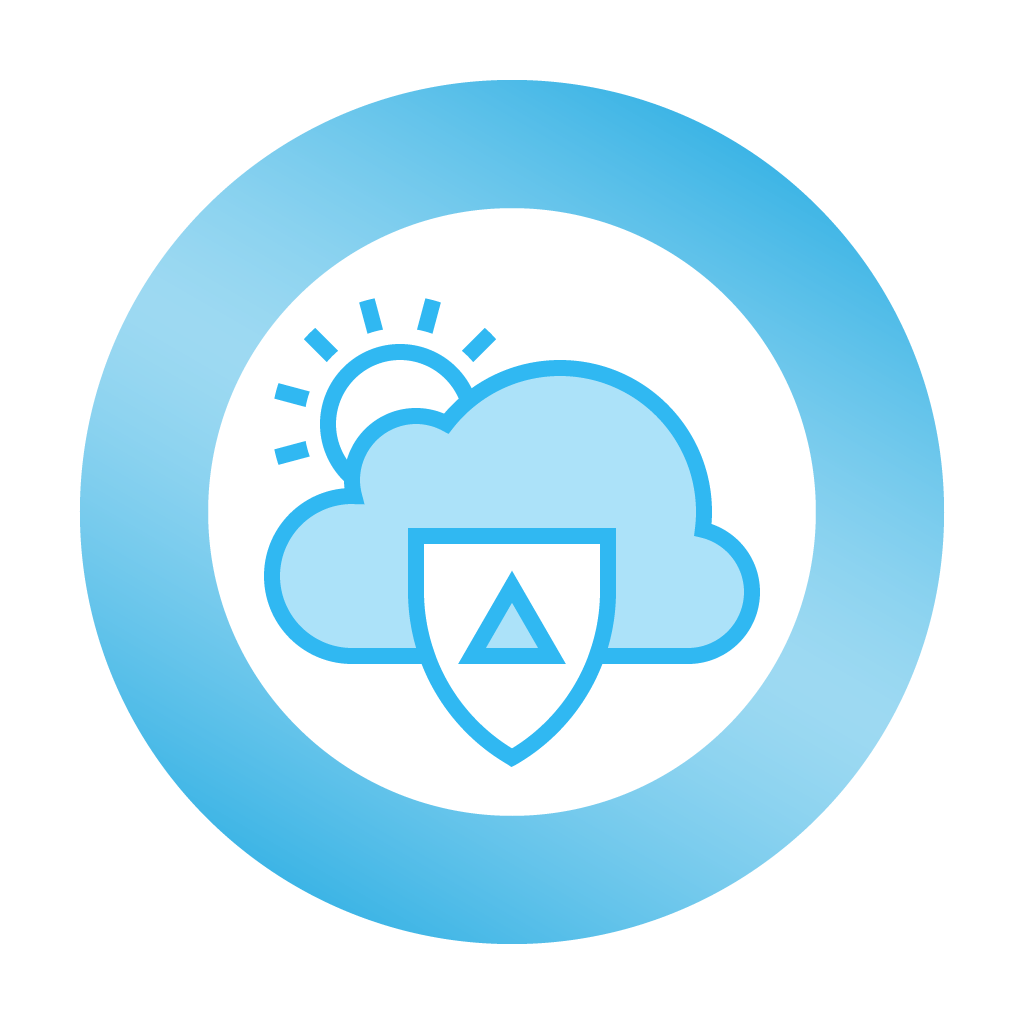 cloud-defense-shield--L1-icon