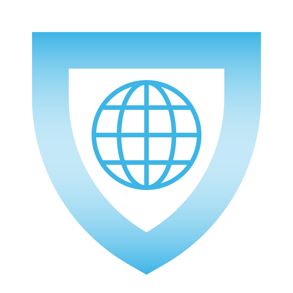 cybersecurity-globe-wireframe-internet--L1-icon