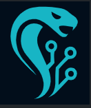 Digital Technologies Config Cobra logo