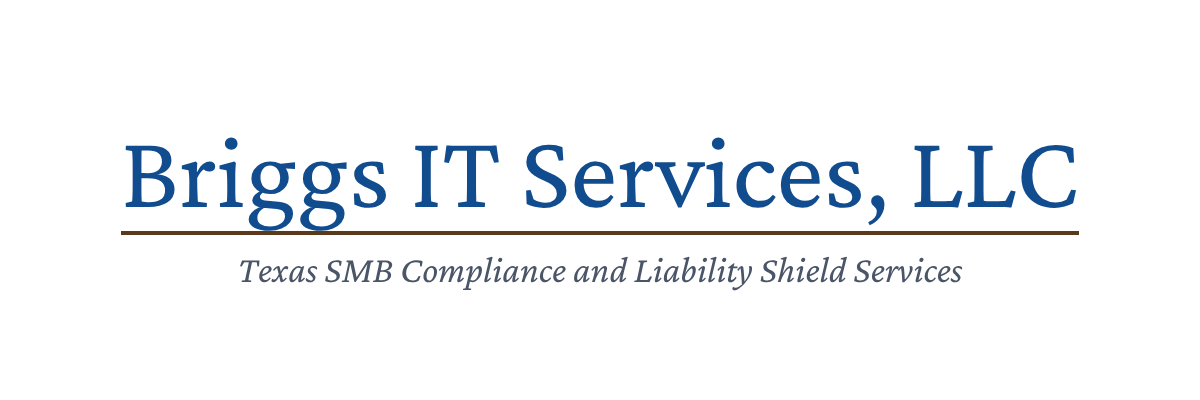 Briggs IT Services, LLC logo