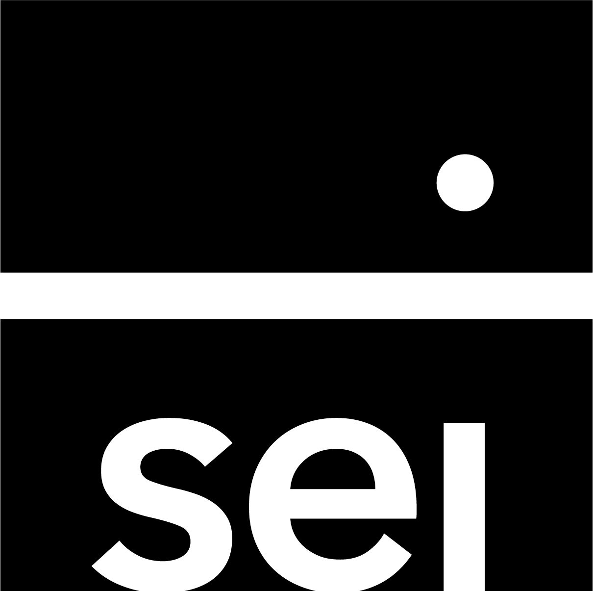 SEI Logo