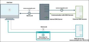 DNS spotlight